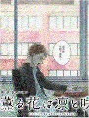 夜行歌者 免费网站观看音乐综艺海报